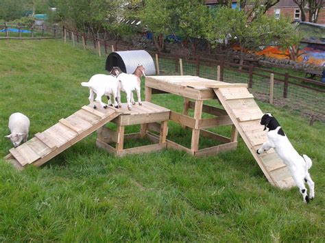 goat play structures for sale
