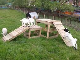 goat playscape