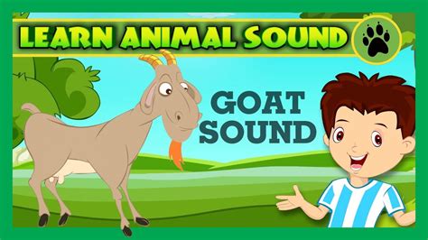 goat sounds for kids