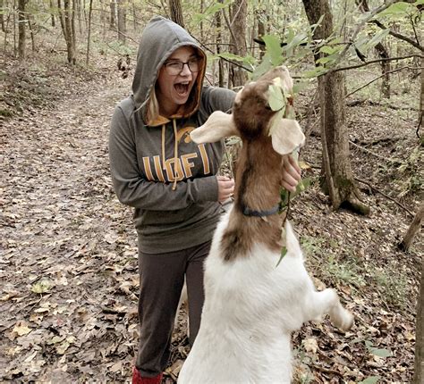 goat walk galena il