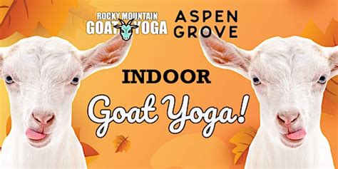 goat yoga aspen grove