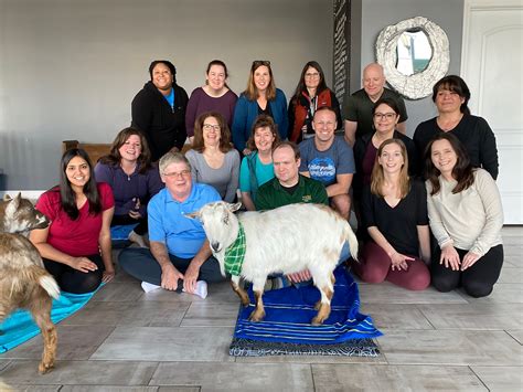goat yoga chicago