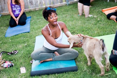 goat yoga dallas