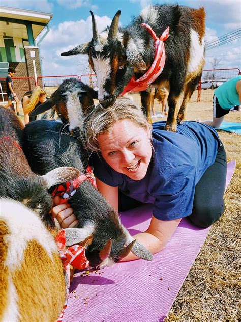 goat yoga fort worth