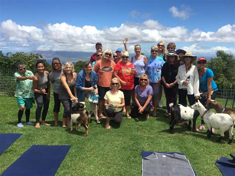 goat yoga in hawaii