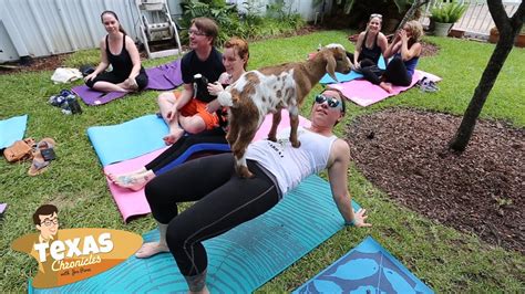 goat yoga in houston
