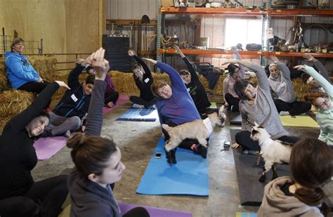 goat yoga omaha ne