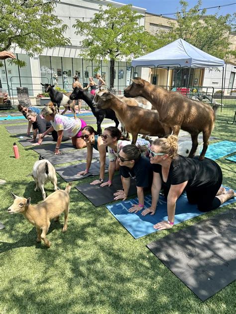 goat yoga rva