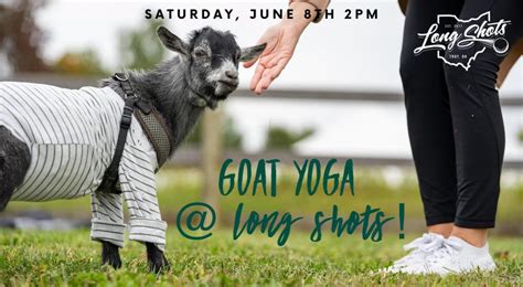 goat yoga troy ohio