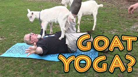 goat yoga video youtube