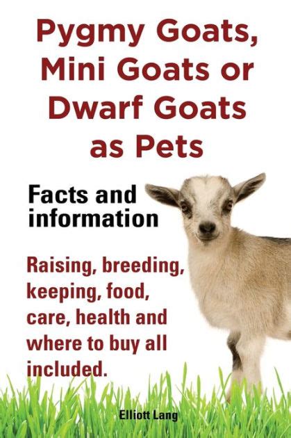 goats as pets facts