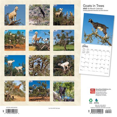 goats in trees calendar 2024