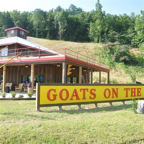 goats on the roof restaurant pigeon forge