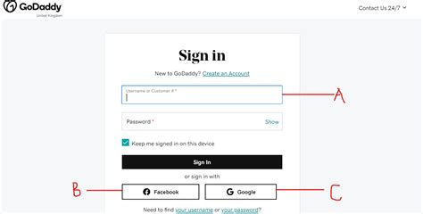 godaddy log in button