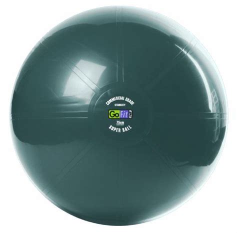 gofit exercise ball