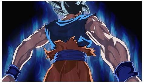 Goku Mui Punch Wallpapers - Top Free Goku Mui Punch Backgrounds
