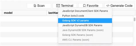 golang aws dynamodb query example