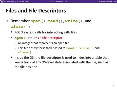 Golang File Descriptor Type