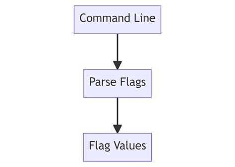 Golang Flag Args Example