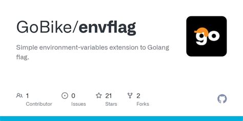 Golang Flag Environment Variable