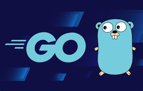 Golang Flag Nil