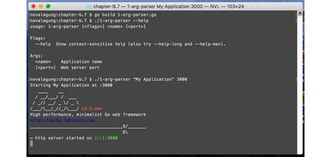 Golang Flag Windows