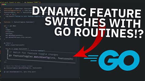 Golang Flags Double Dash