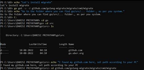 golang migrate mongodb example