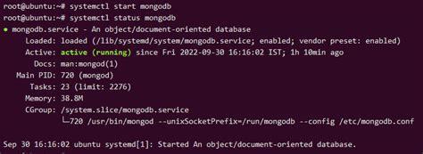 golang mongodb example