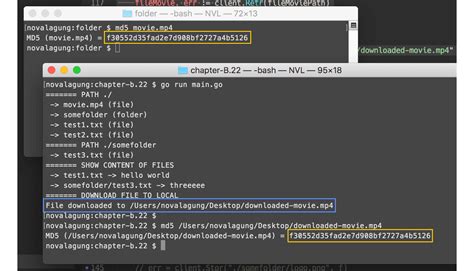 Golang Open File Descriptor