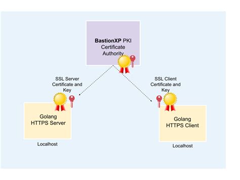 golang tls client example