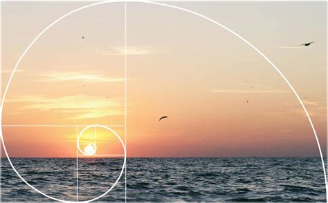 What Is Golden Ratio Photography Composition