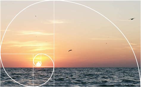 What Is The Golden Ratio In Photography?