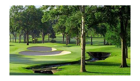 Golfing | Golf, Golf courses, Field