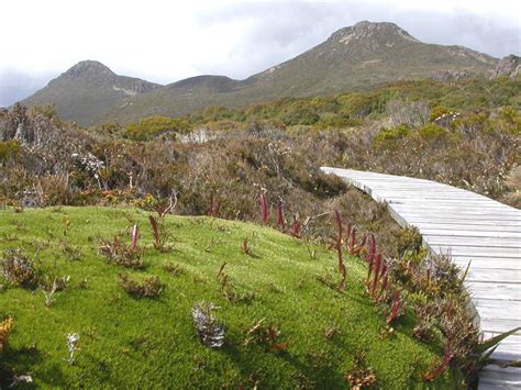 golf north west tasmania