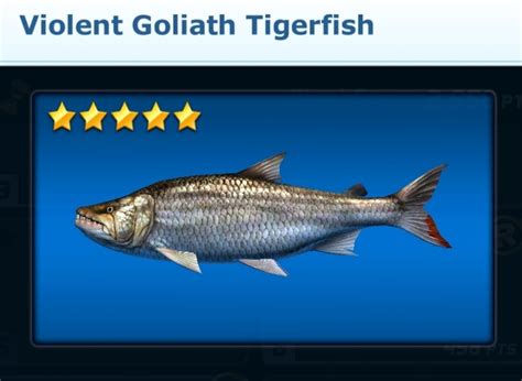 goliath tigerfish bite wound