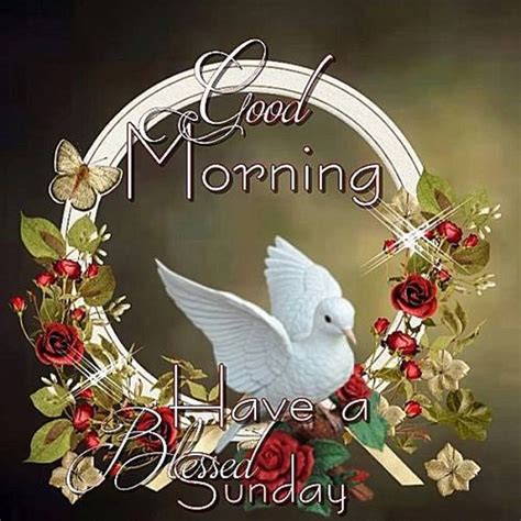 God Go With You Happy Sunday Good Morning Pictures, Photos, and