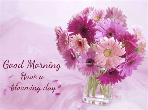 Download image of Good morning flowers with images Good Morning Images, Quotes, Wishes