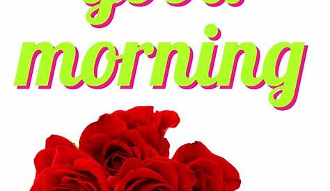 Good Morning Stickers In Whatsapp Gif 100+ Best HD Images 2021