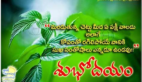 Good Morning Video Songs Telugu Lo Labace Photos Kavali