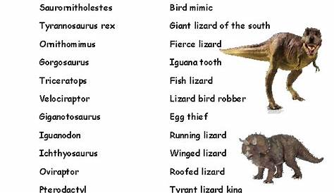 8 Nama-nama Dinosaurus Terpopuler yang Digemari Anak-anak | Orami