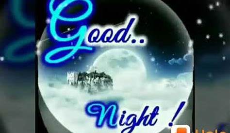 Good Night, good night video with flower, good night best