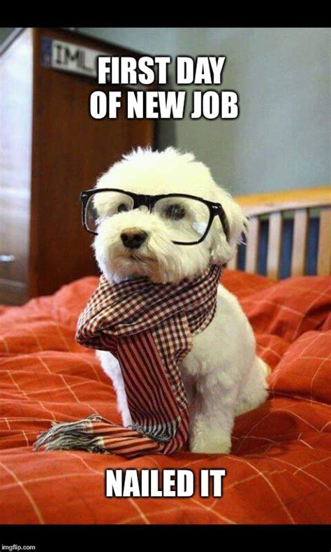 Good Reasons To Look For A New Job Meme Funny Wednesday Clip