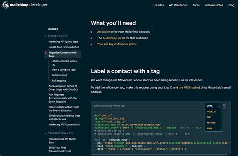 good api documentation examples