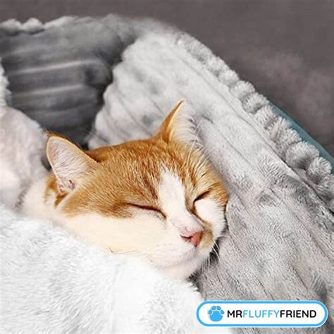 Good Blankets For Cats