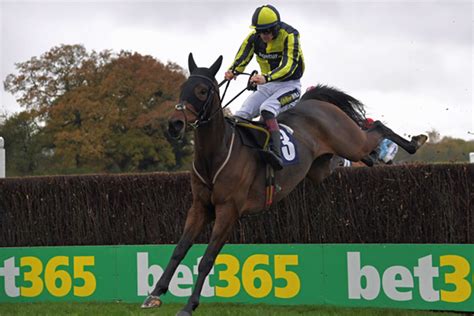 Articles Good Boy Bobby Odds