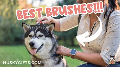 good brushes for huskies