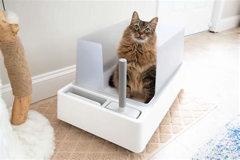 Good Cat Litter Boxes