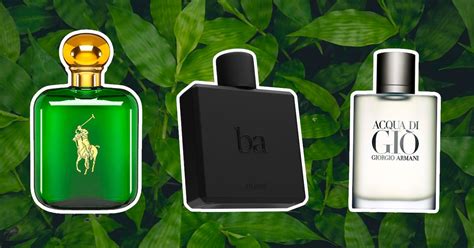 Good Cheap Everyday Cologne