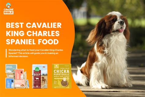 good dog food for cavalier king charles